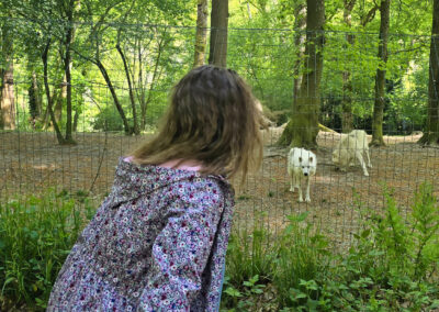 Entre mythes et réalités, venez découvrir l&rsquo;univers des loups !