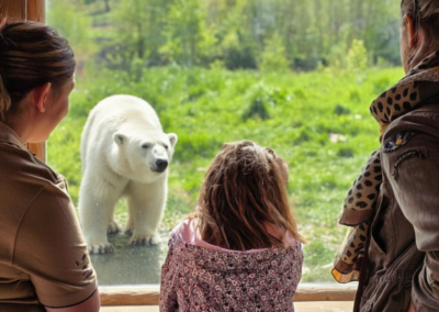 Rencontrez l’ours polaire : le roi du pôle Nord !