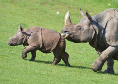 La rencontre hors norme en VIP