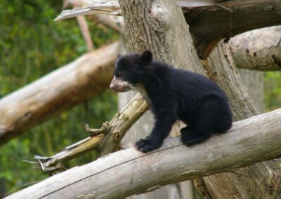 L’expédition en terre insolite